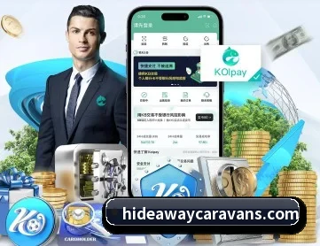 aoa网页版入口 APP 深度功能